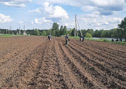 Надеемся на хороший урожай